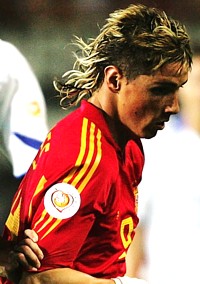 fernando_torres.jpg