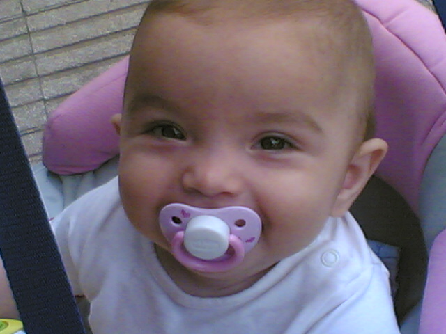 20072008.jpg
