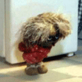 aa5c359ee798.gif