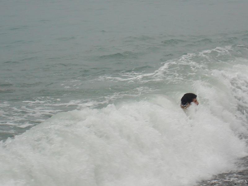 DSC08310.jpg