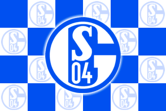 cf_schalke04.gif
