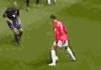 21906301.gif