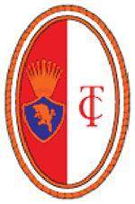 p19_2.jpg