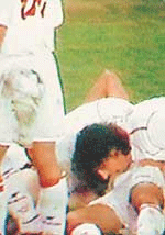 15619_Galliardo.gif