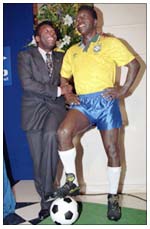 pele1.jpg