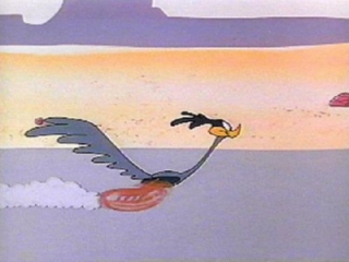 Roadrunner.jpg