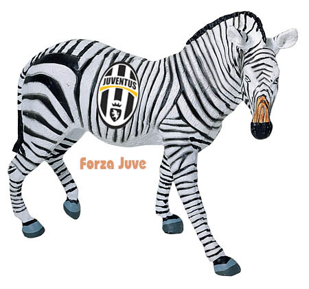 zebra.jpg