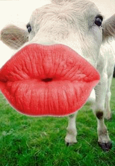 post_25_1185031440.gif