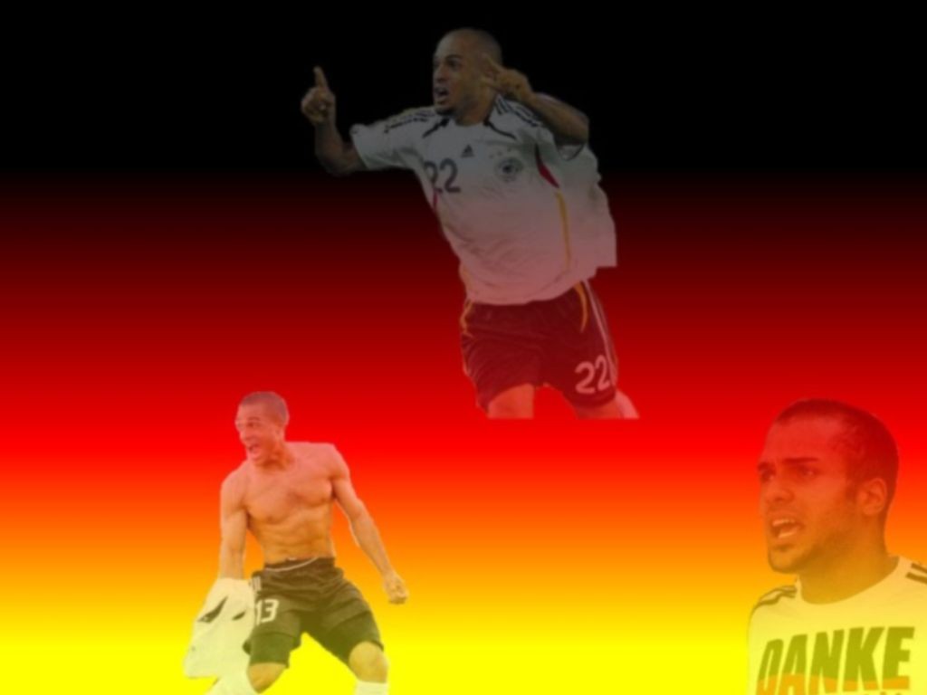 11691884.jpg