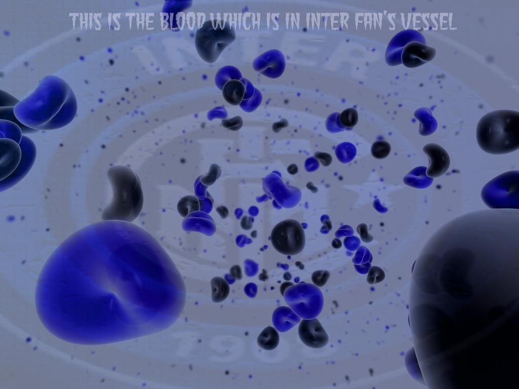 interistas_sisxli.JPG