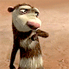 80c7c407281e2ea.gif