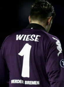 Wiese_703483.jpg