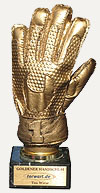 goldener_handschuh_100_2.jpg