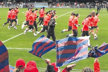 foto_411400_CAS.jpg