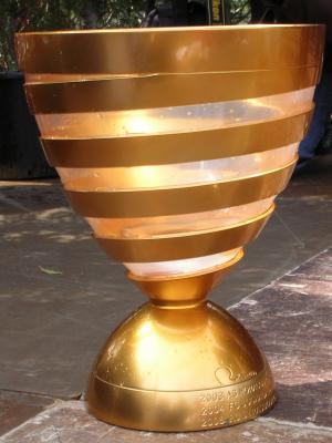 coupe_de_la_ligue.jpg