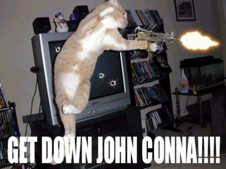 LolCatTerminator.jpg