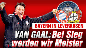 b_sport_bayern_leverkusen__15725138_1270838565.jpg