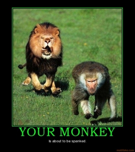 monkey.jpg