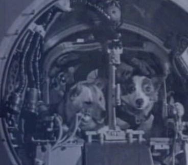 Belka_Strelka.jpg
