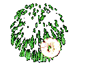 111.gif
