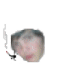 post_76_1295542874.gif