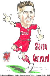 steven_gerrard6.jpg