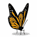 av_20231.gif