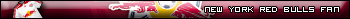 New_York_Red_Bulls_12.jpg