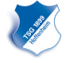 hoffenheim_logo.png
