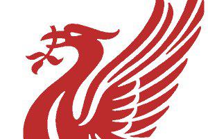 liverbird.jpg