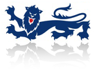 lion_icon_100295.png