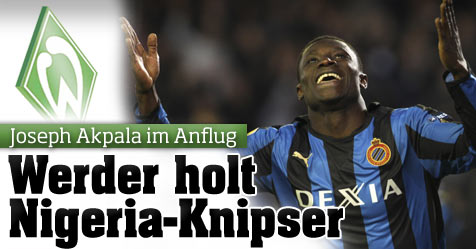 2.bild.jpg