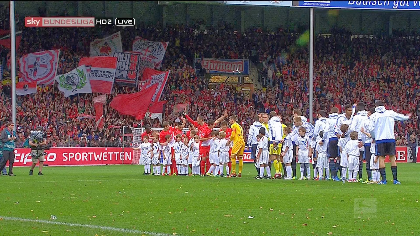 SCF_HSV_.jpg
