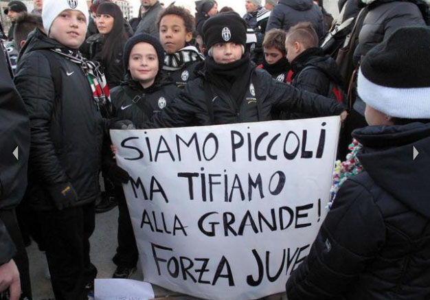 juv.jpg