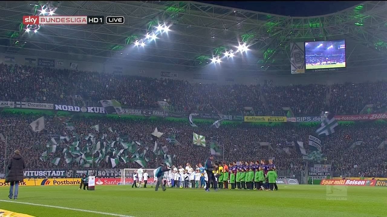 bl14bmgscf6.jpg