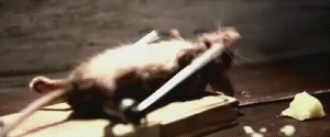 xx6i8.gif