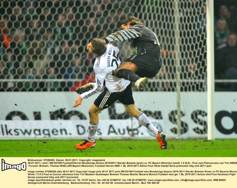 wiese.jpg