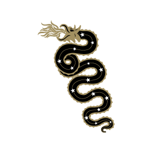 inter_snake2008.png