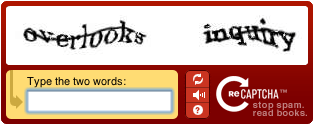 recaptcha_example.gif