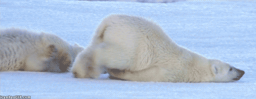 giphy__3_.gif