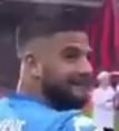 insigne.JPG