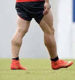 calves.jpg