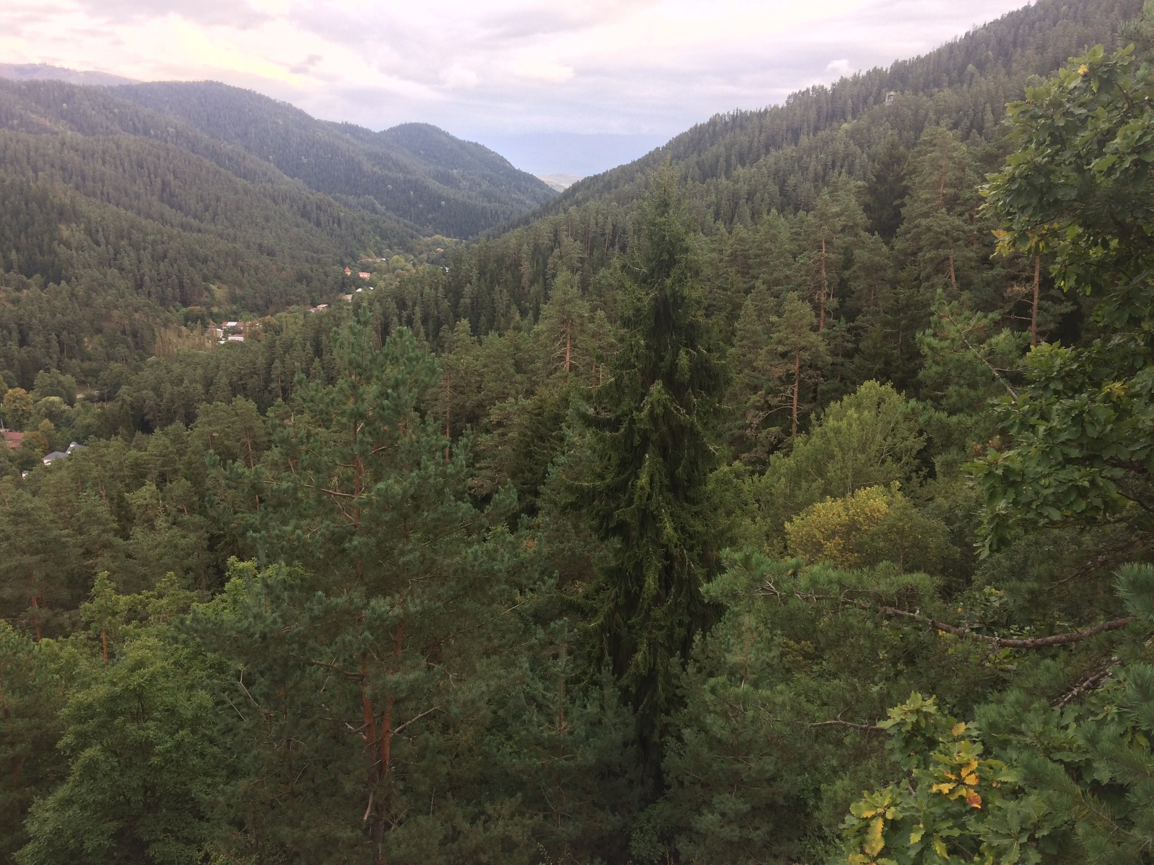 IMG_6541_1_.jpg