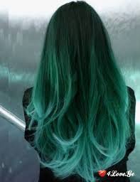 images__1_.jpg