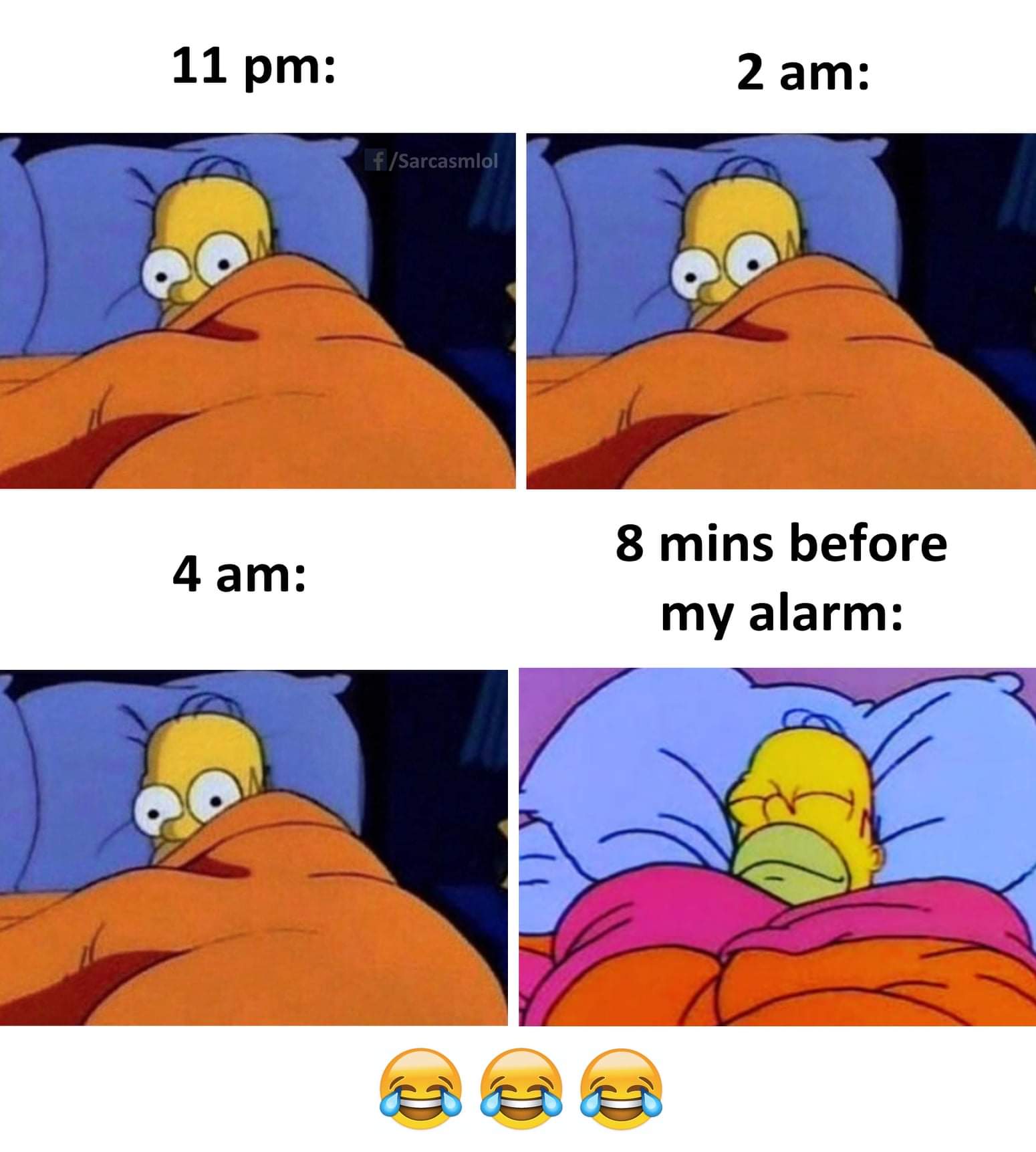 FB_IMG_1568390261809.jpg