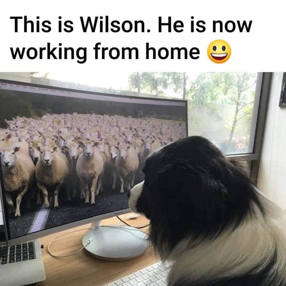 91191583_2724770477649113_6898133810030837760_o.jpg