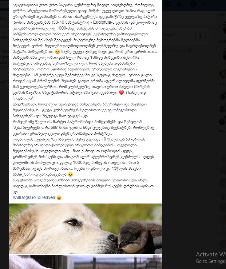 Screenshot_2.jpg