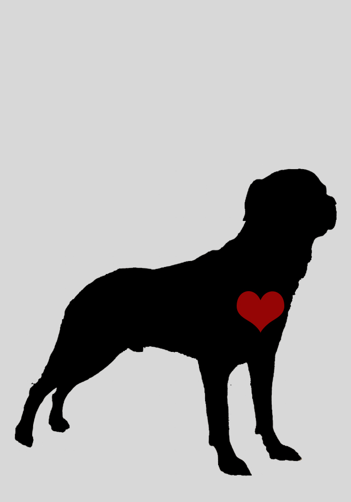 amores_perros.jpg
