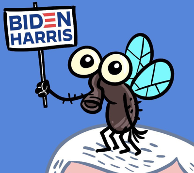 5f7f68d14401c.image.png