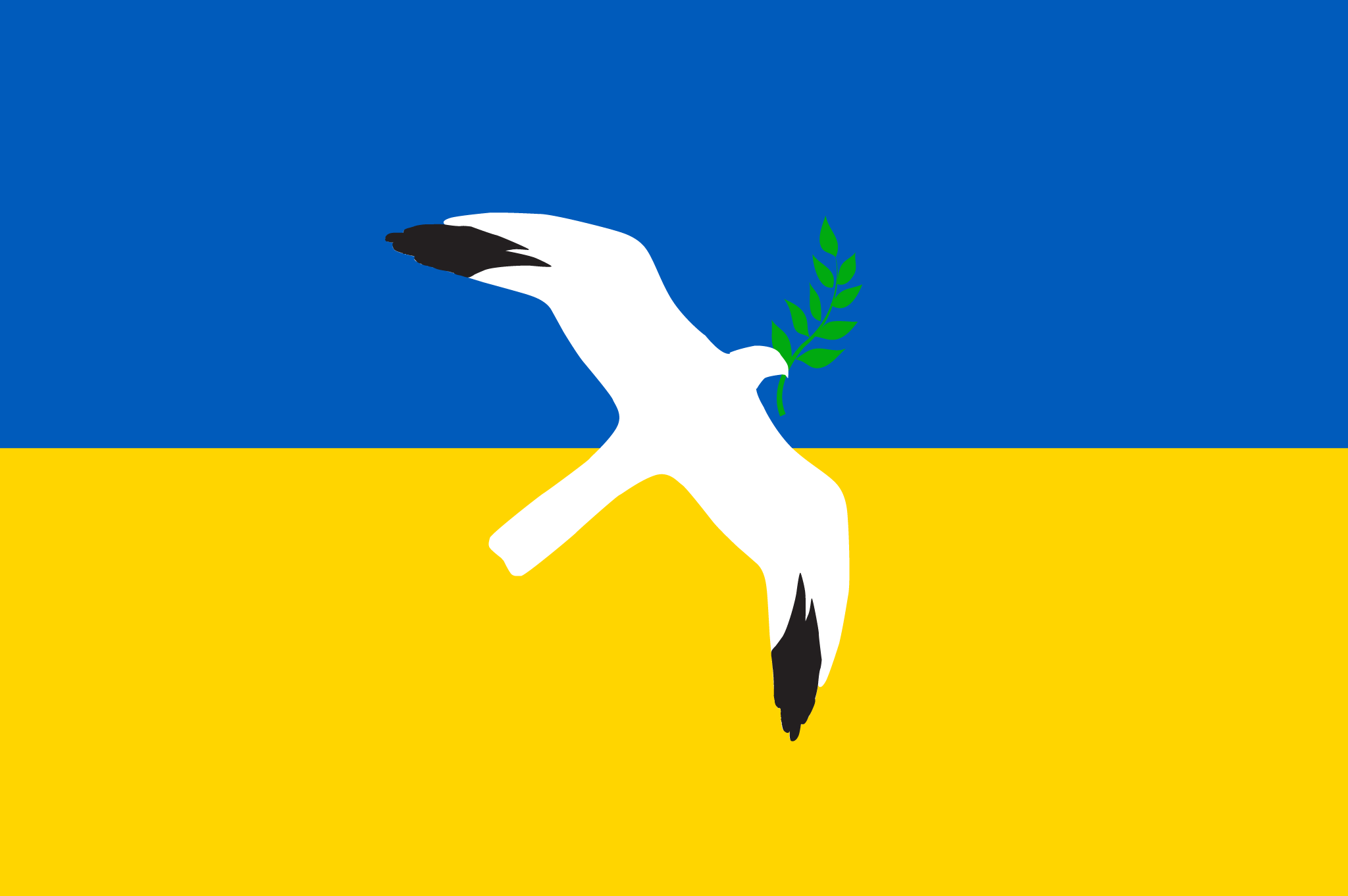 BRC_Ukraine_Large.png